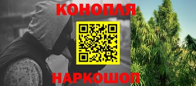 не бодяженный Гай