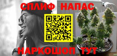 экстази Гатчина