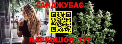 не бодяженный Гай
