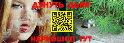 не бодяженный Гай